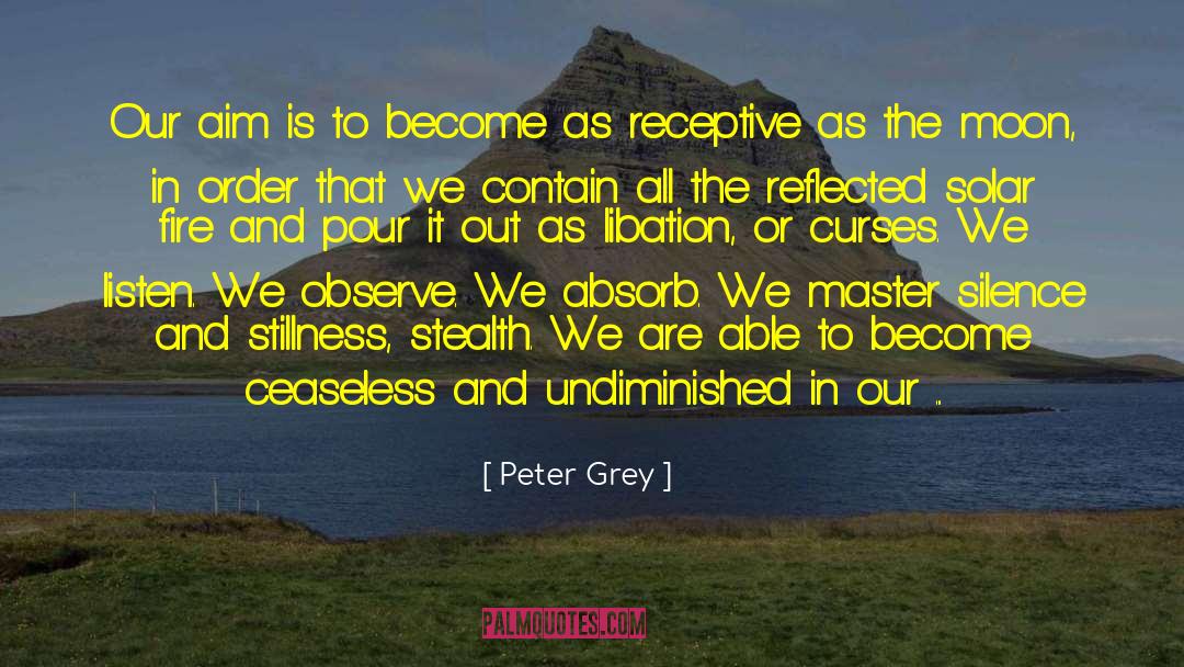 Peter Grey Quotes: Our aim is to become