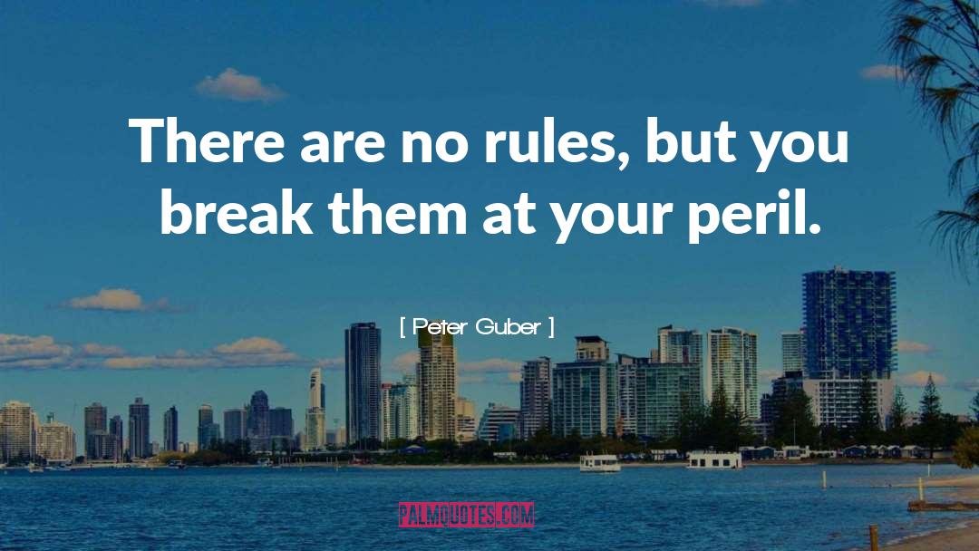 Peter Guber Quotes: There are no rules, but