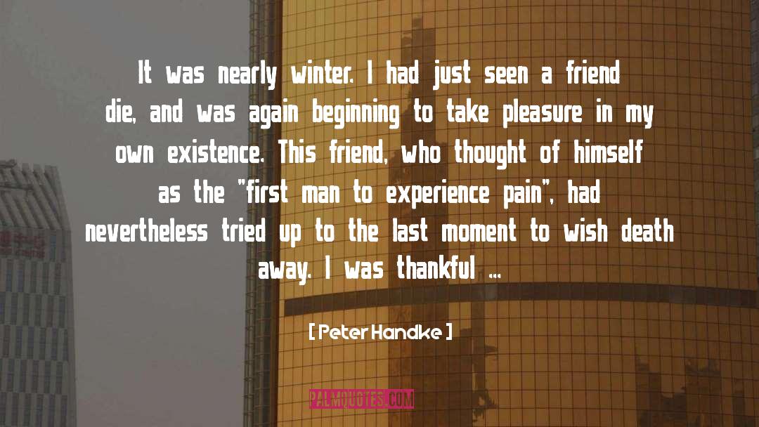 Peter Handke Quotes: It was nearly winter. I