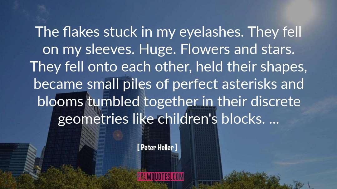 Peter Heller Quotes: The flakes stuck in my