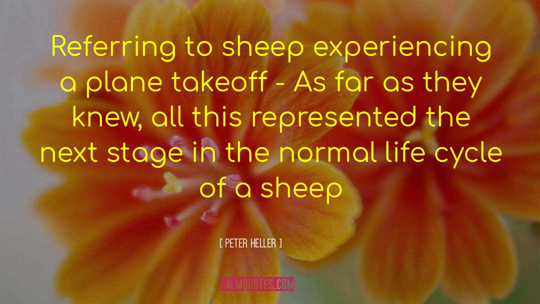 Peter Heller Quotes: Referring to sheep experiencing a