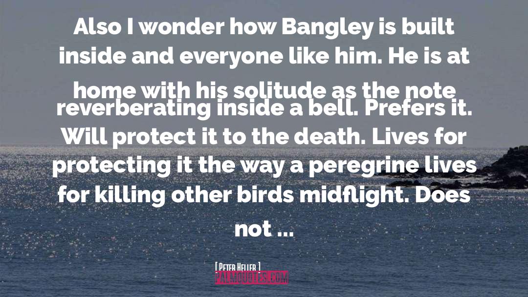 Peter Heller Quotes: Also I wonder how Bangley