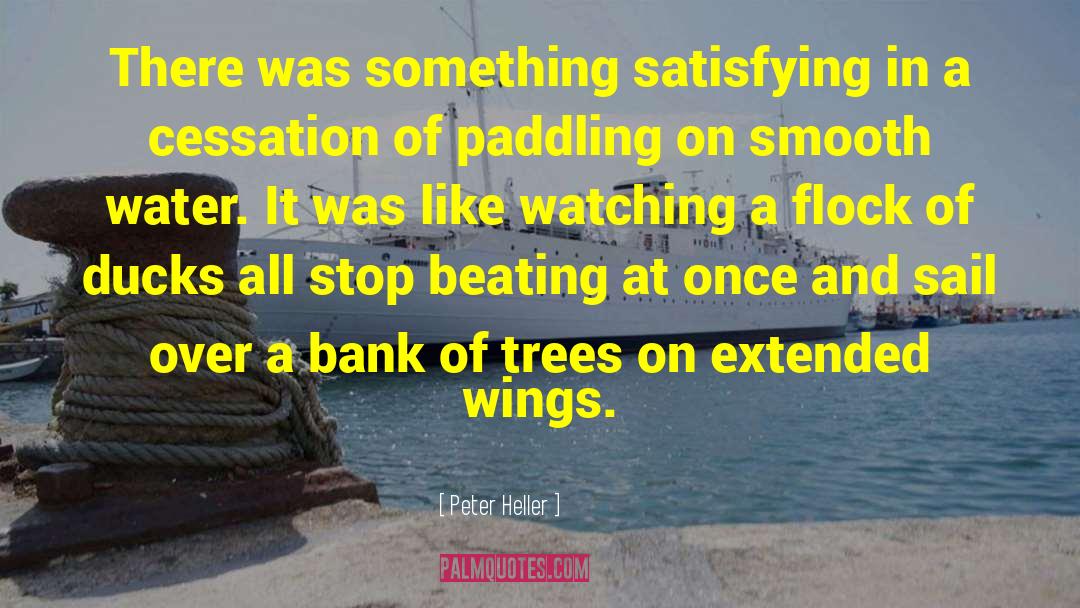 Peter Heller Quotes: There was something satisfying in