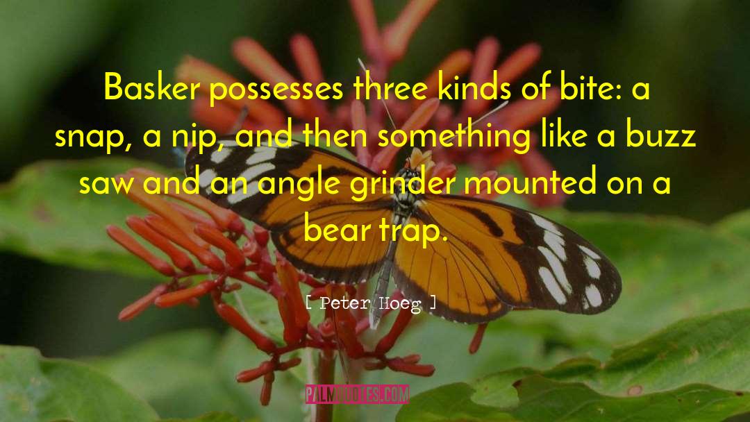 Peter Hoeg Quotes: Basker possesses three kinds of