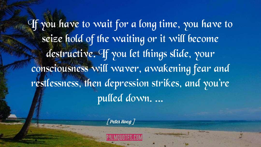 Peter Hoeg Quotes: If you have to wait