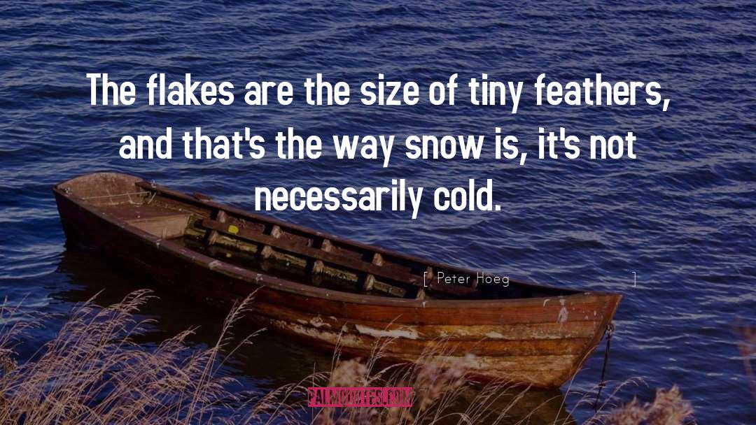 Peter Hoeg Quotes: The flakes are the size