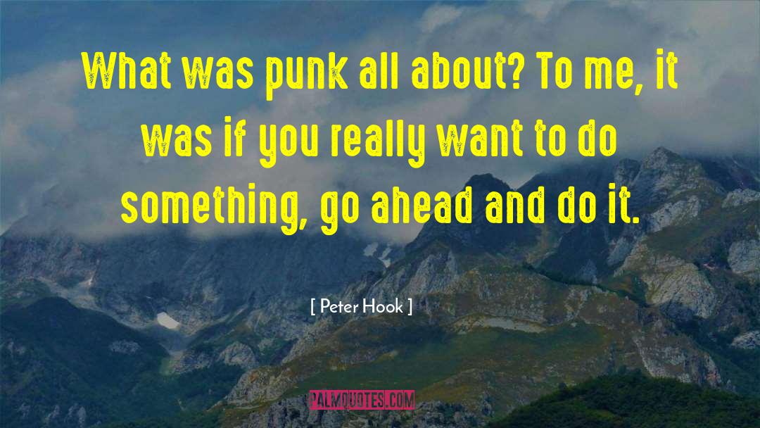 Peter Hook Quotes: What was punk all about?