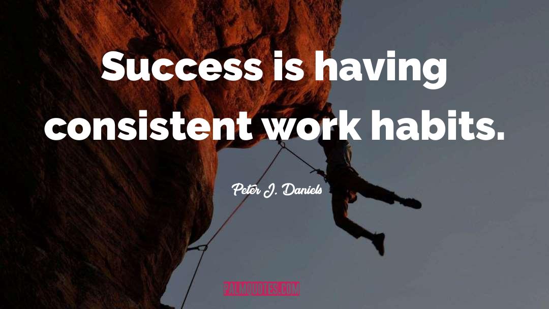 Peter J. Daniels Quotes: Success is having consistent work