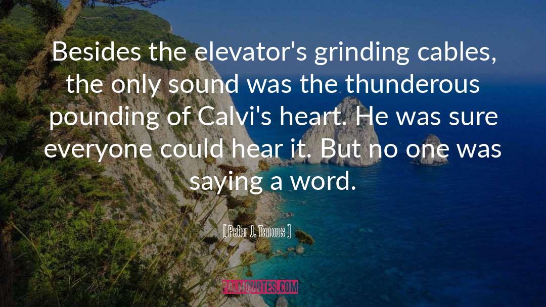Peter J. Tanous Quotes: Besides the elevator's grinding cables,