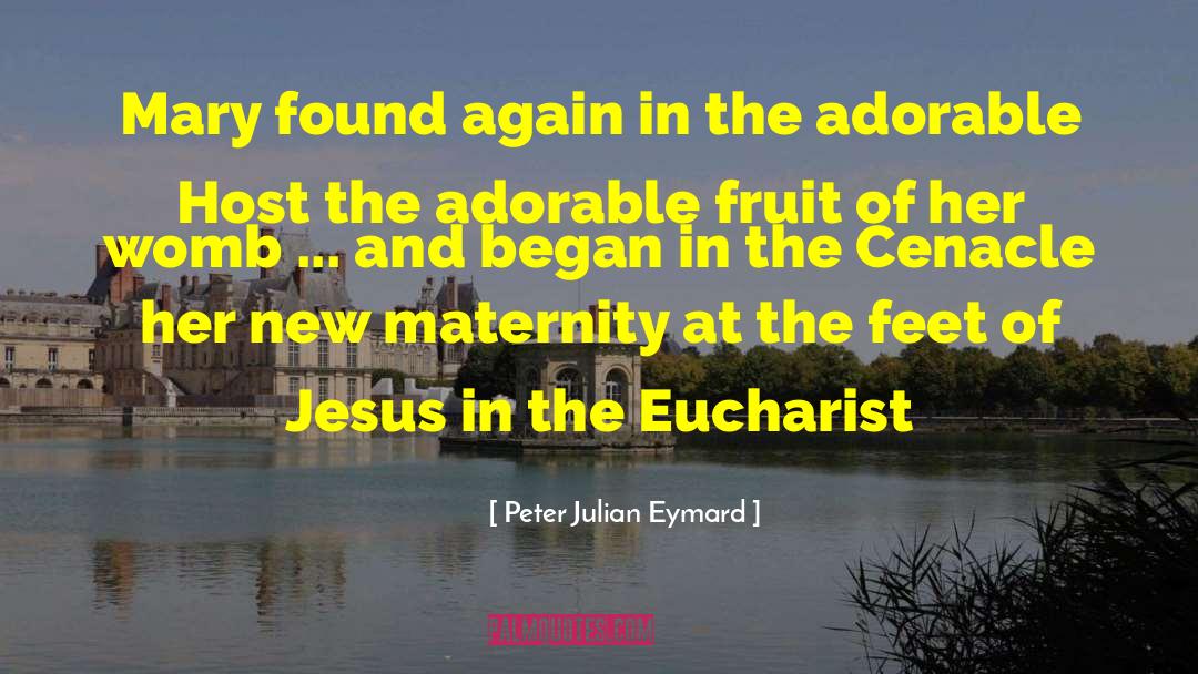 Peter Julian Eymard Quotes: Mary found again in the