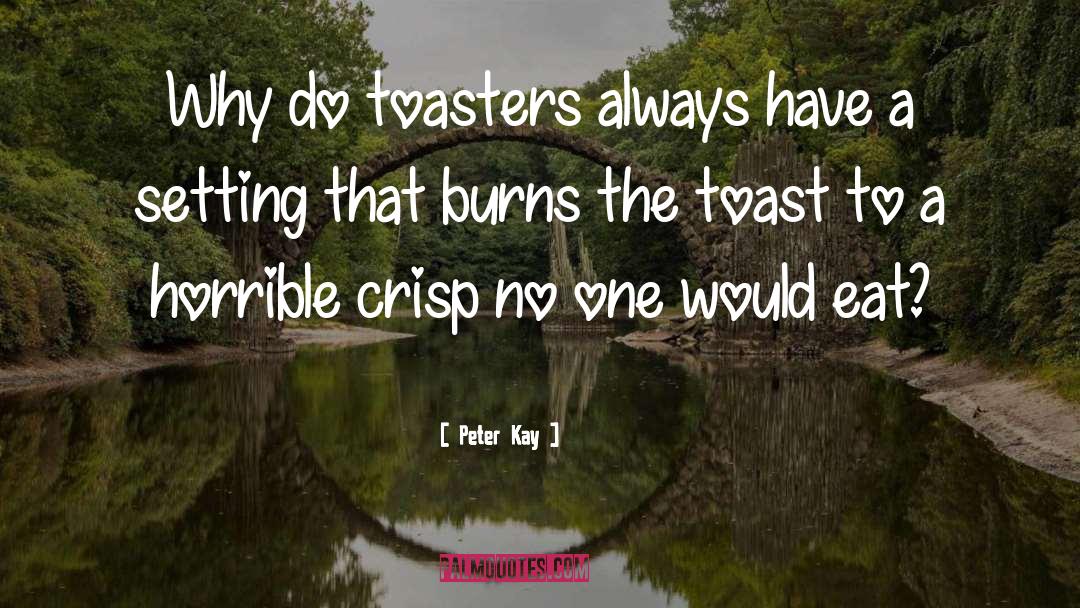 Peter Kay Quotes: Why do toasters always have