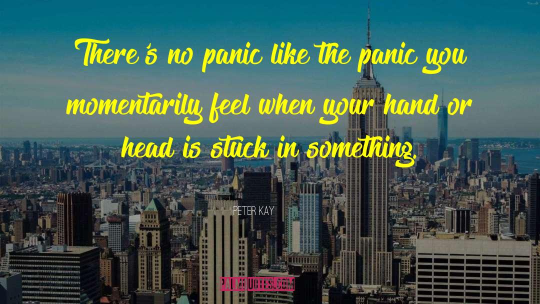 Peter Kay Quotes: There's no panic like the