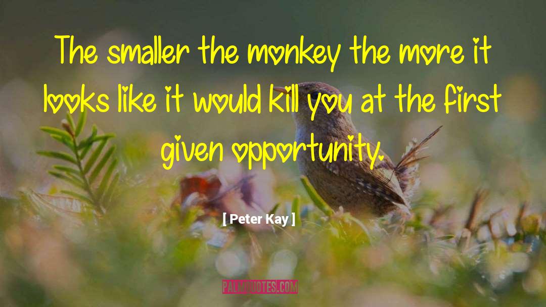 Peter Kay Quotes: The smaller the monkey the