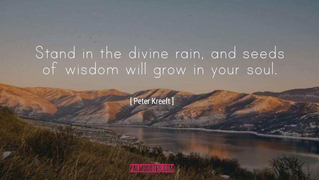 Peter Kreeft Quotes: Stand in the divine rain,