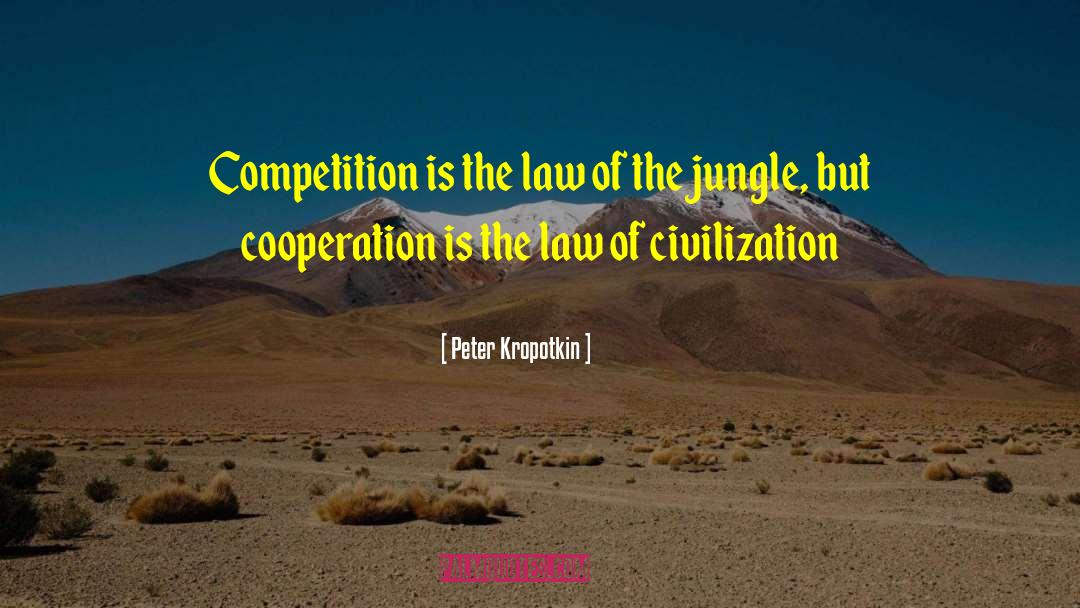 Peter Kropotkin Quotes: Competition is the law of