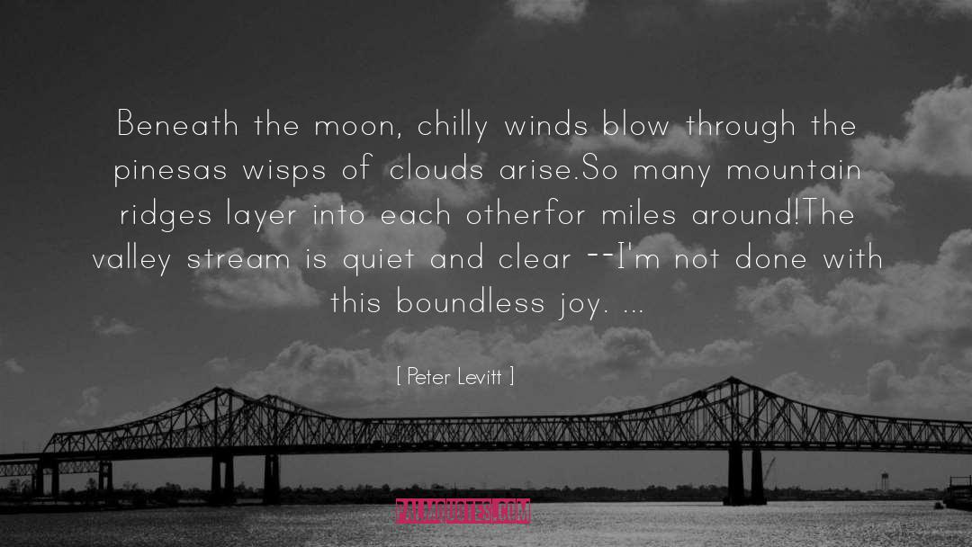 Peter Levitt Quotes: Beneath the moon, chilly winds
