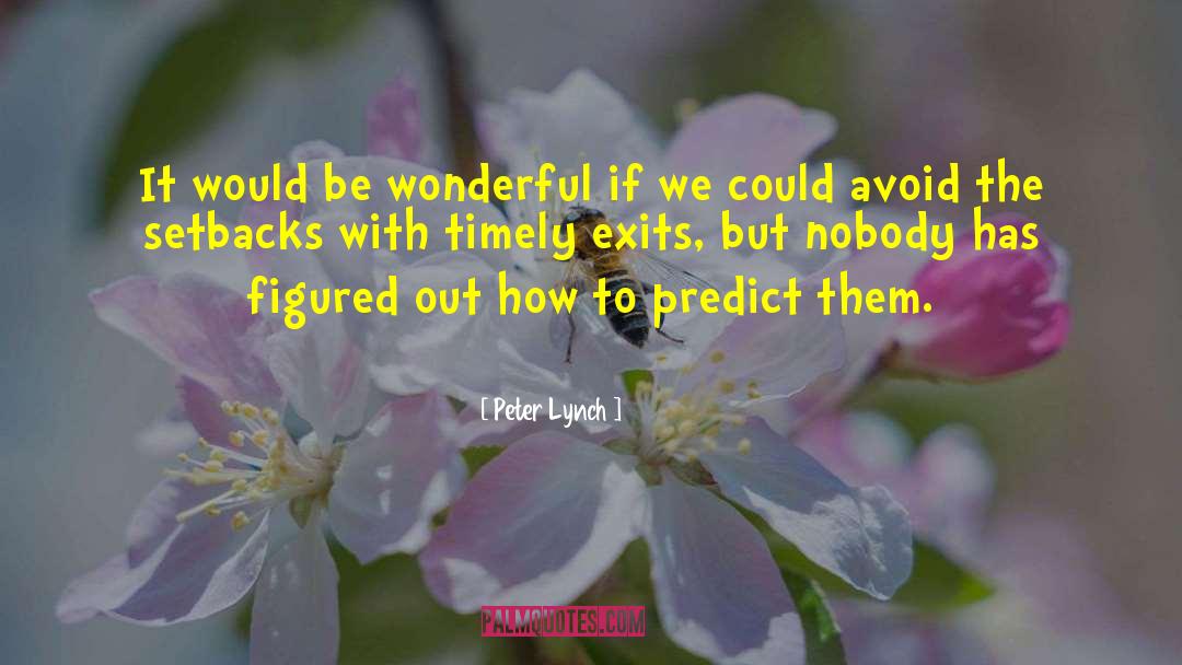 Peter Lynch Quotes: It would be wonderful if