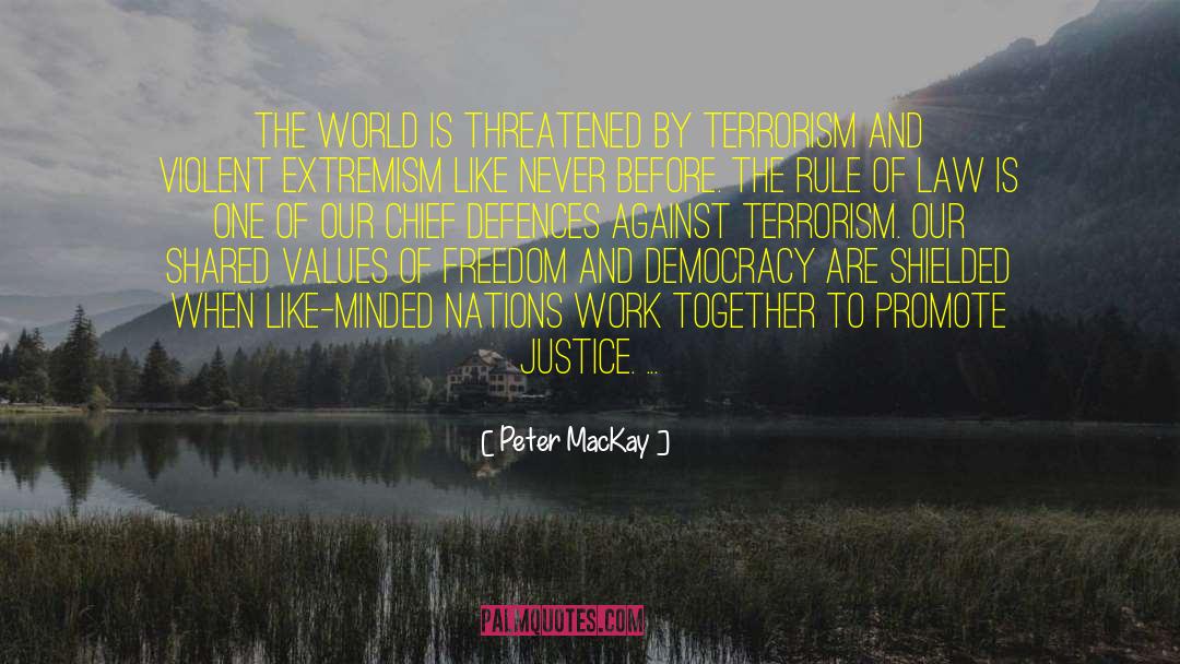 Peter MacKay Quotes: The world is threatened by