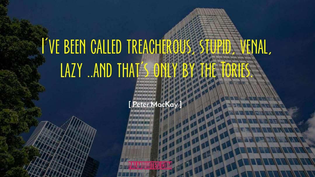 Peter MacKay Quotes: I've been called treacherous, stupid,
