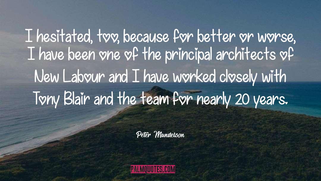 Peter Mandelson Quotes: I hesitated, too, because for