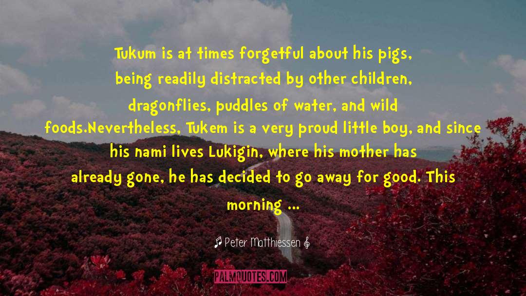 Peter Matthiessen Quotes: Tukum is at times forgetful