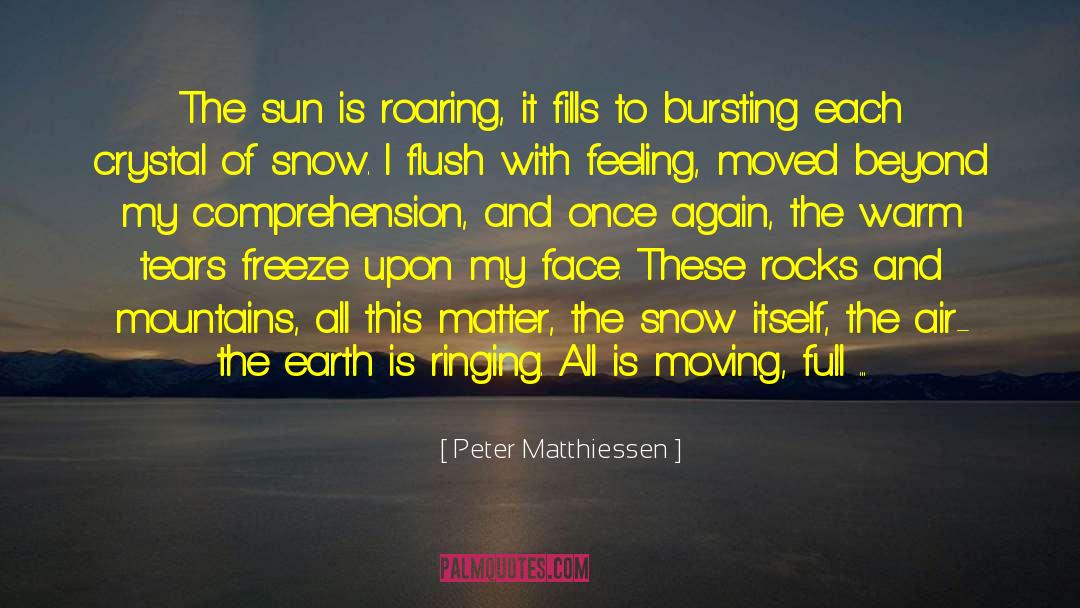 Peter Matthiessen Quotes: The sun is roaring, it