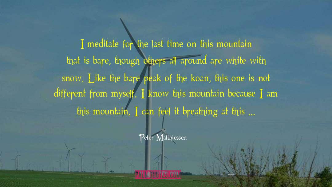 Peter Matthiessen Quotes: I meditate for the last