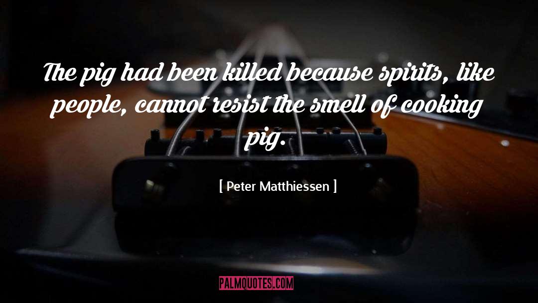 Peter Matthiessen Quotes: The pig had been killed