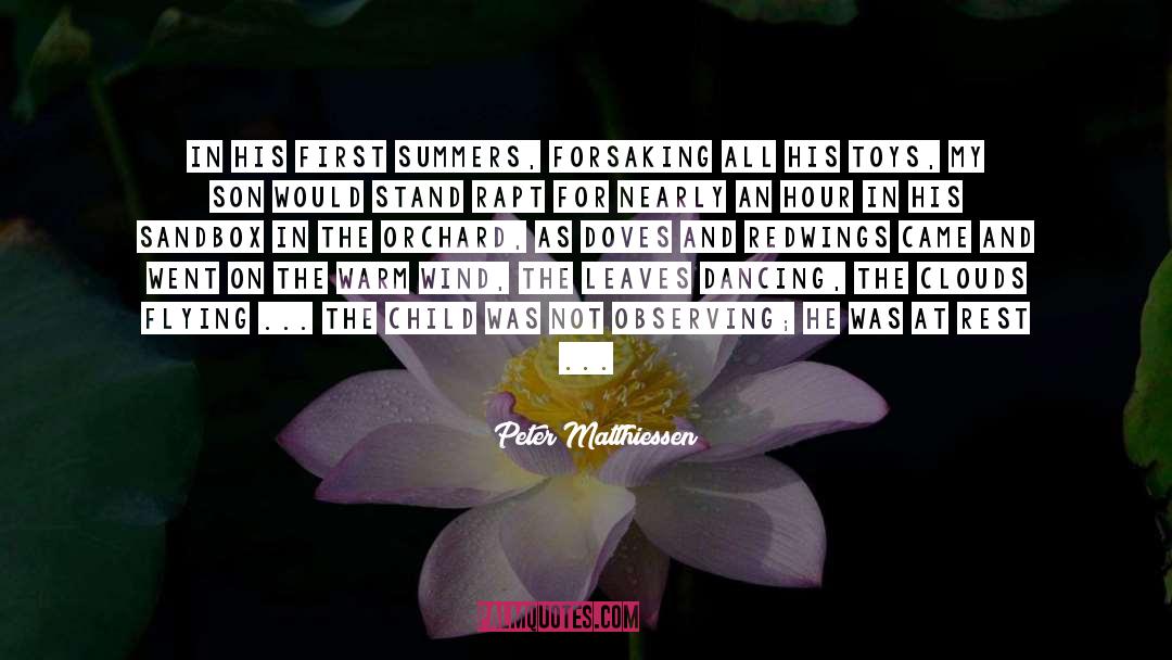 Peter Matthiessen Quotes: In his first summers, forsaking