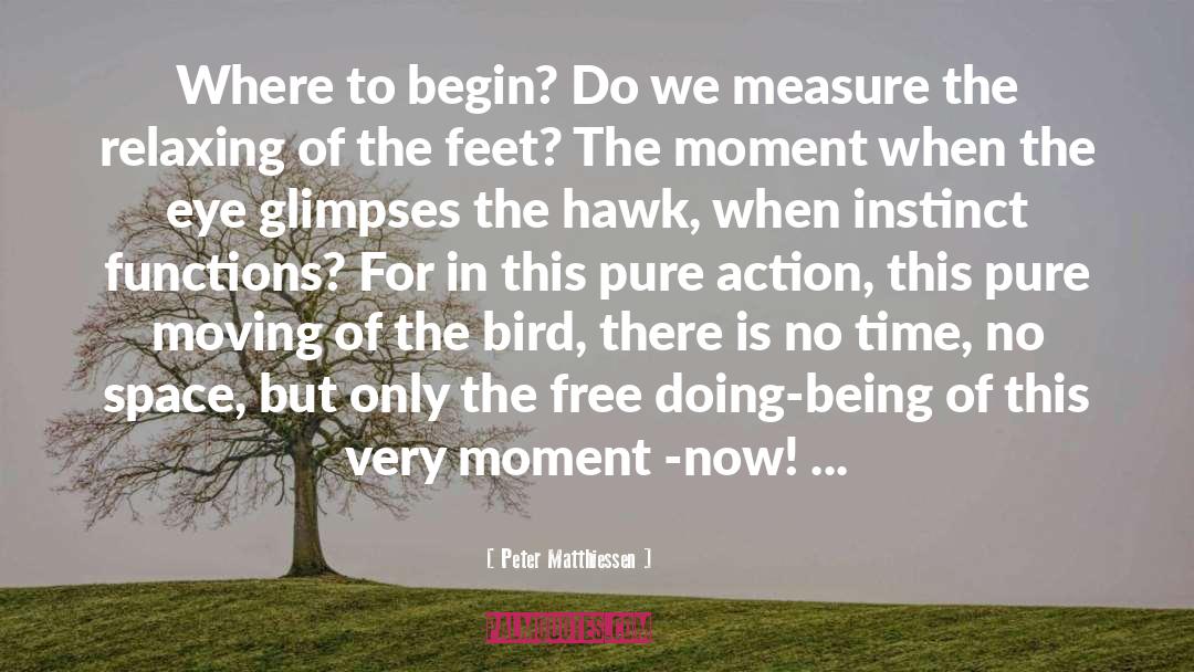 Peter Matthiessen Quotes: Where to begin? Do we