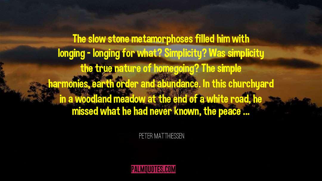 Peter Matthiessen Quotes: The slow stone metamorphoses filled