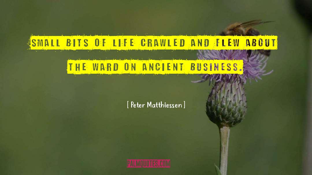 Peter Matthiessen Quotes: Small bits of life crawled