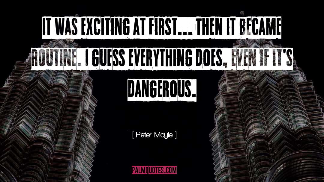 Peter Mayle Quotes: It was exciting at first...