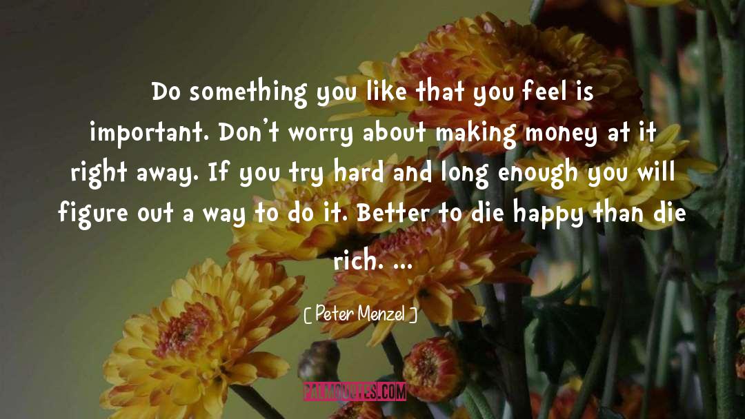 Peter Menzel Quotes: Do something you like that