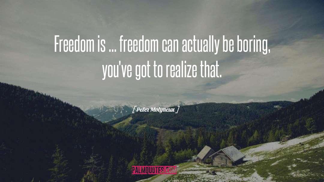 Peter Molyneux Quotes: Freedom is ... freedom can