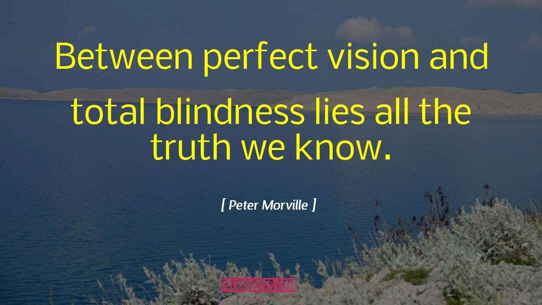Peter Morville Quotes: Between perfect vision and total