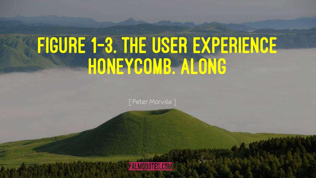 Peter Morville Quotes: Figure 1-3. The User Experience