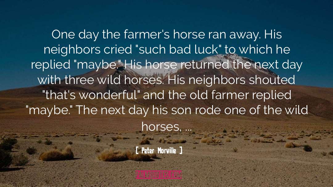 Peter Morville Quotes: One day the farmer's horse
