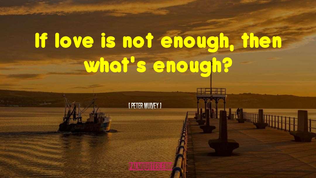 Peter Mulvey Quotes: If love is not enough,