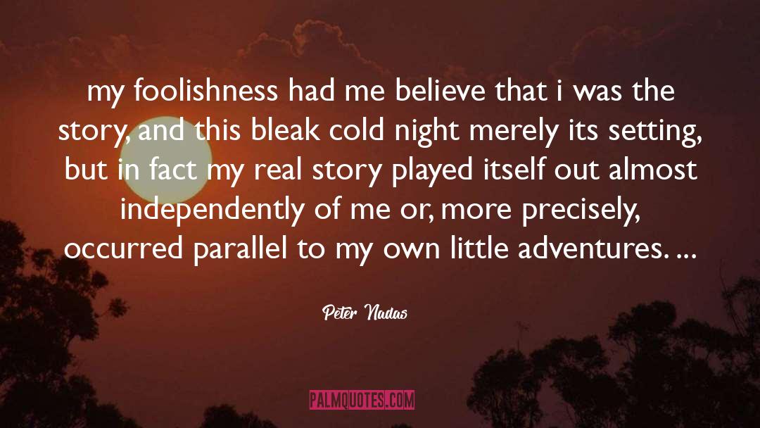 Peter Nadas Quotes: my foolishness had me believe