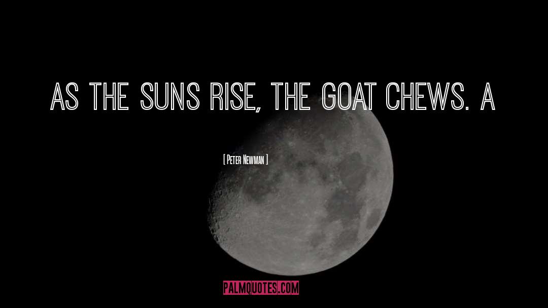 Peter Newman Quotes: As the suns rise, the