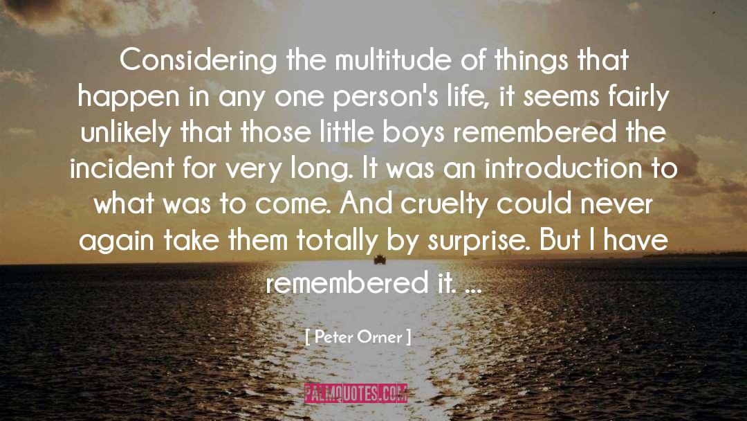 Peter Orner Quotes: Considering the multitude of things