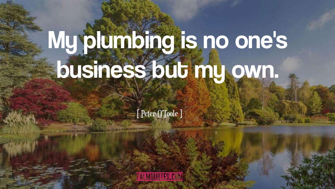 Peter O'Toole Quotes: My plumbing is no one's