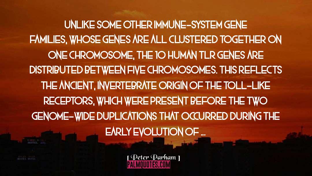 Peter Parham Quotes: Unlike some other immune-system gene