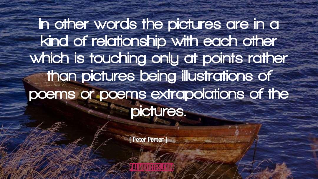 Peter Porter Quotes: In other words the pictures