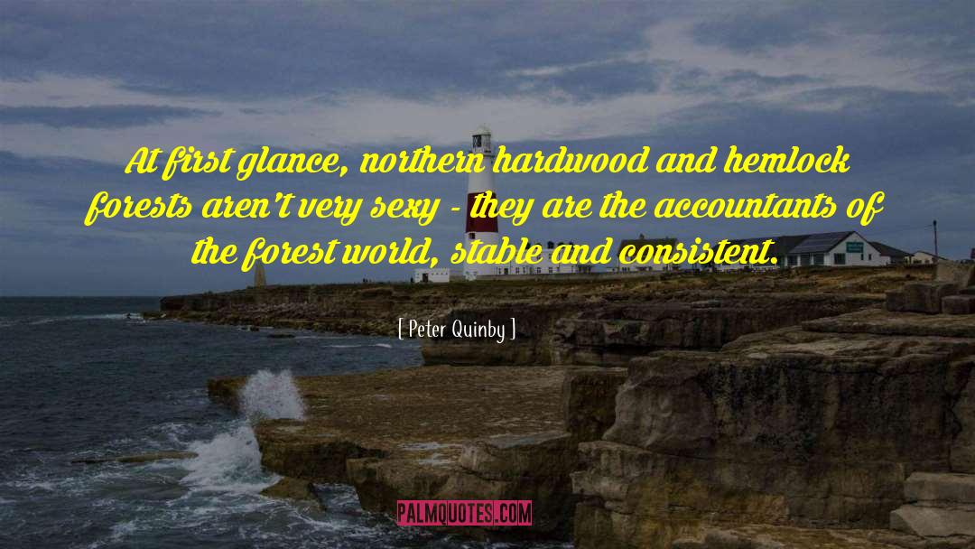 Peter Quinby Quotes: At first glance, northern hardwood