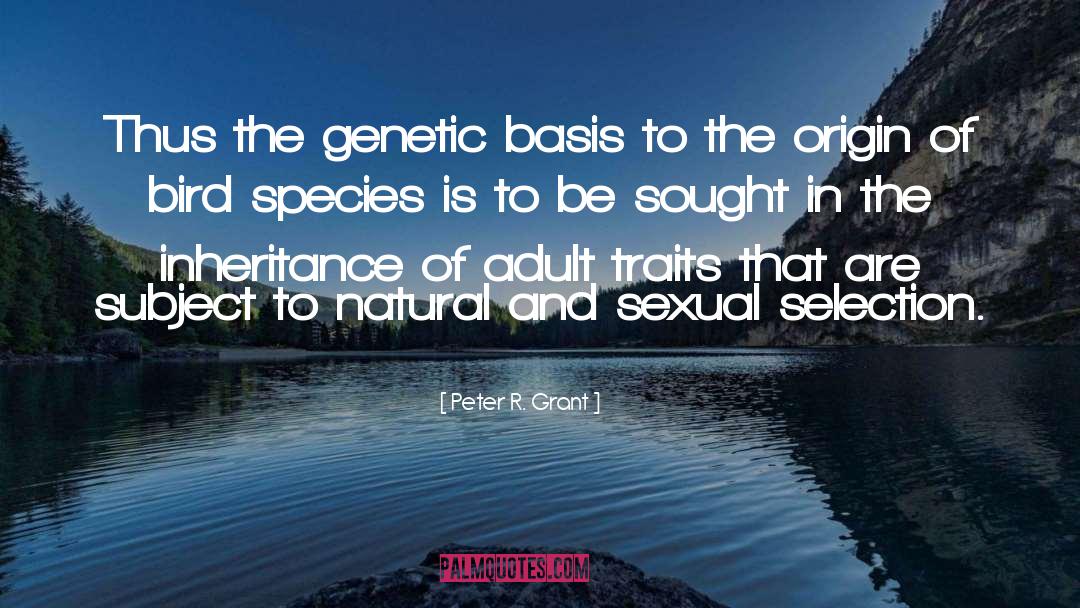 Peter R. Grant Quotes: Thus the genetic basis to
