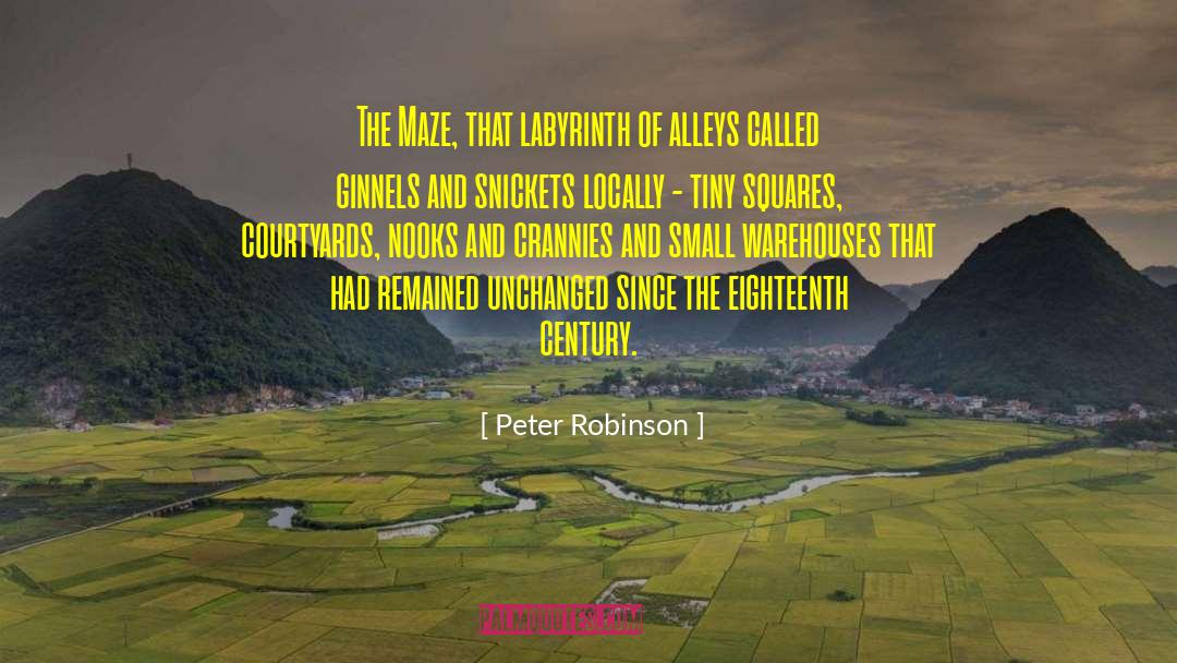 Peter Robinson Quotes: The Maze, that labyrinth of