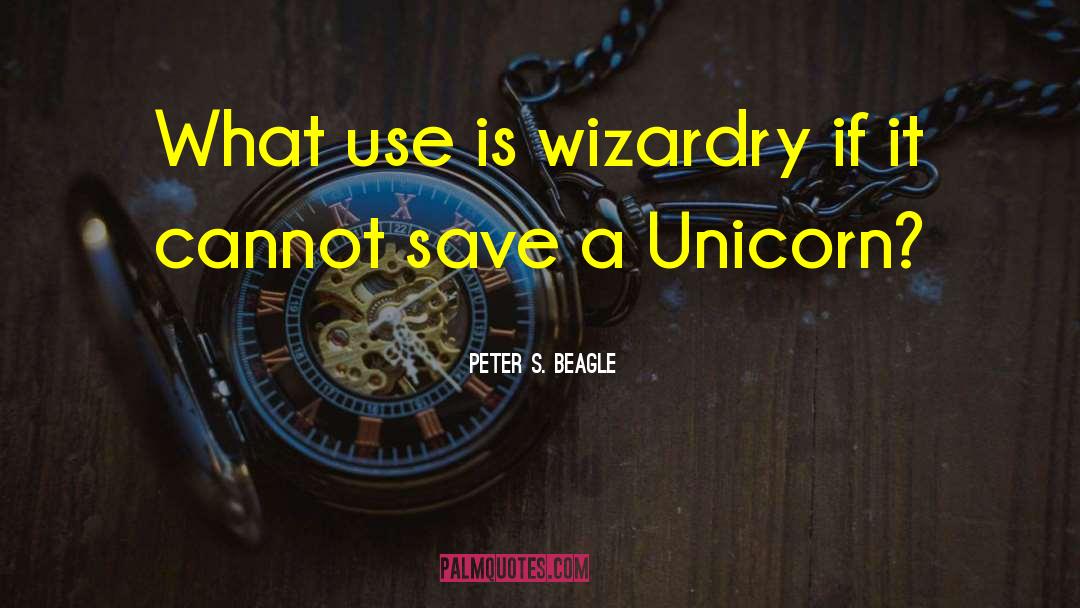 Peter S. Beagle Quotes: What use is wizardry if