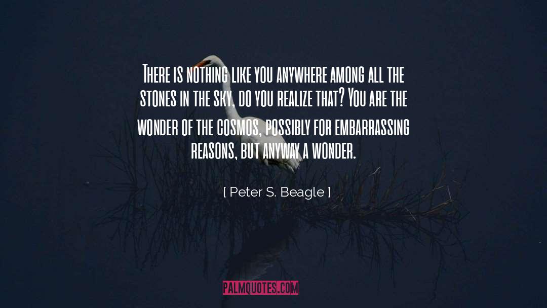 Peter S. Beagle Quotes: There is nothing like you